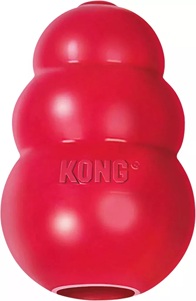 Kong - stuffed food toys are great for chewers